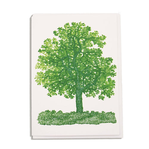 Oak Tree