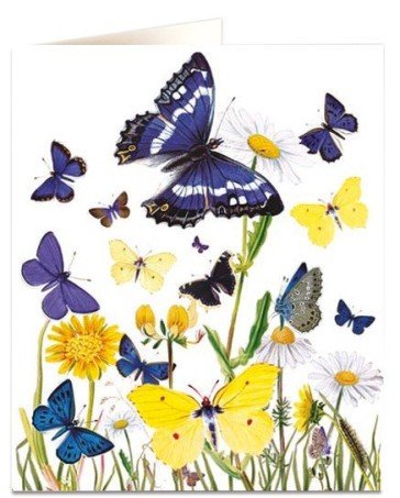 Butterfly Flowers Natural History Museum