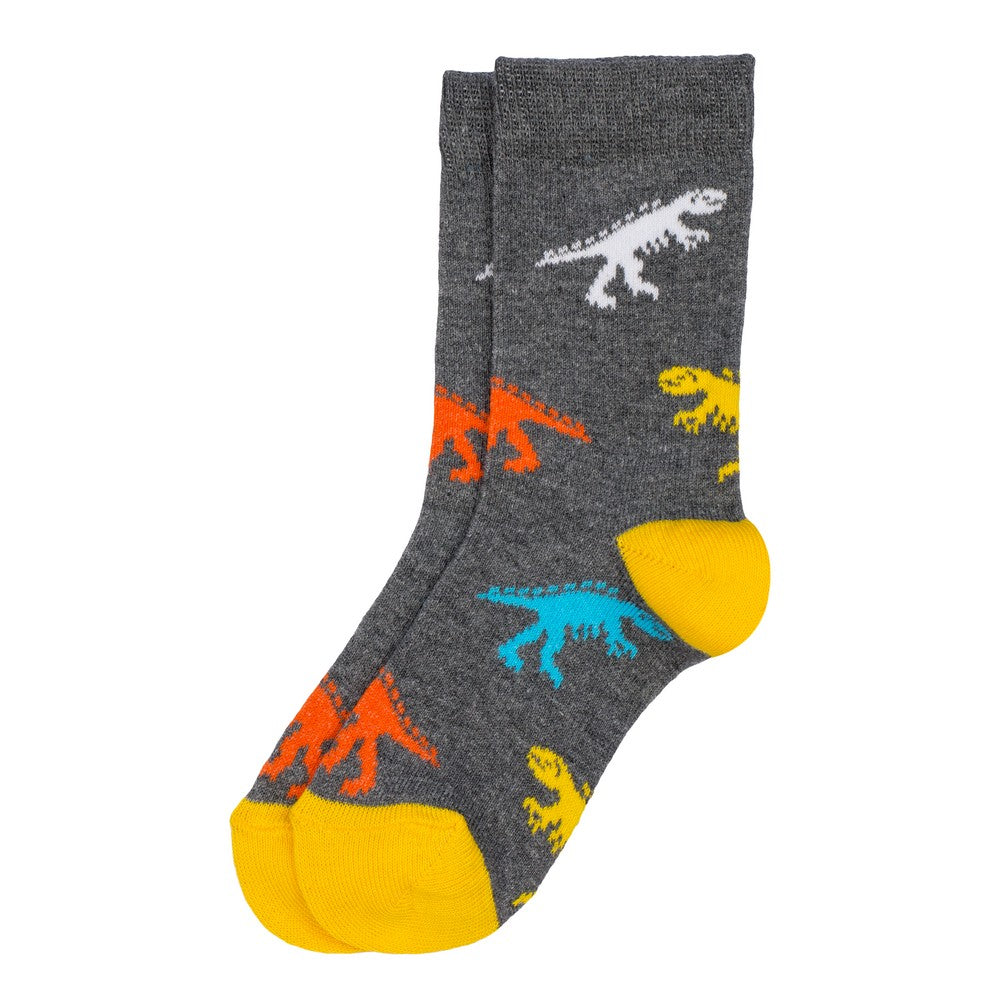 Kids Prehistoric Dinosaur Socks