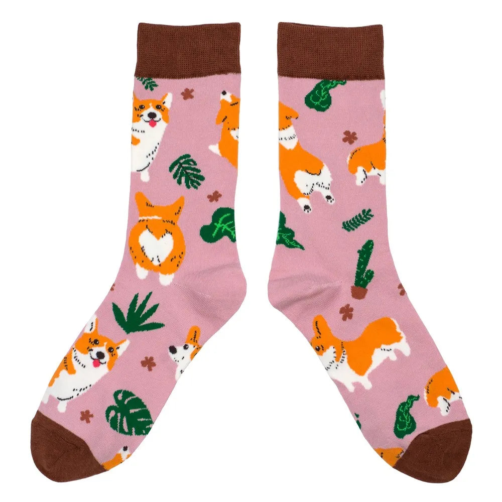 Corgi Socks