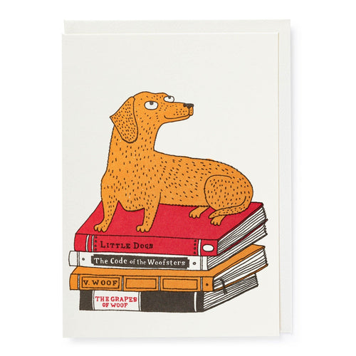 Bookshop dog