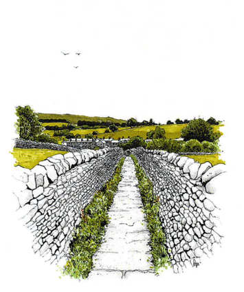 Snake Path Grassington Card