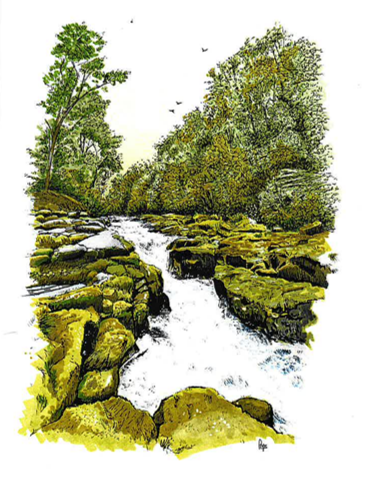 The Strid Bolton Abbey Greeting Card