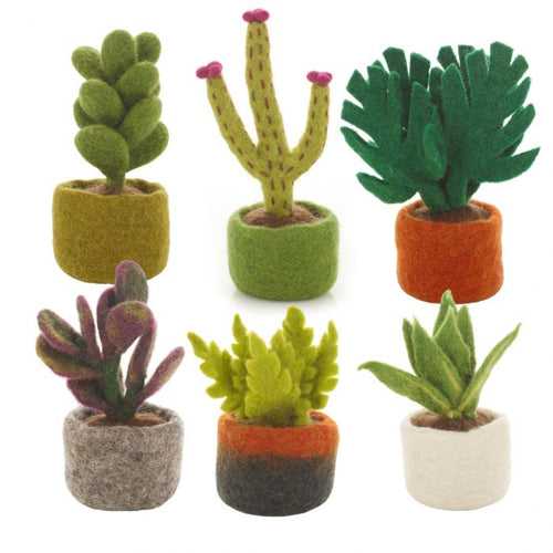 Miniature Plants Decoration