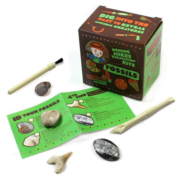 Mining Mike's Fossil Excavation kit